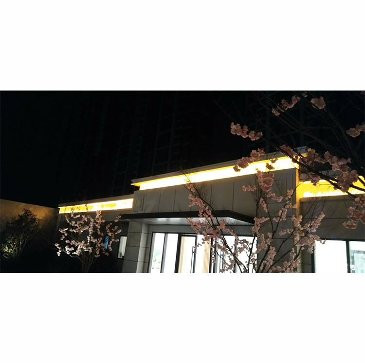 安丘新城 亮化02